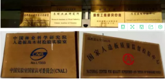 艾格資本拜訪中國林業科學研究院木材工業研究所